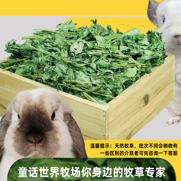 兔子专用烘干牧草花生草叶宠物龙猫荷兰猪豚鼠饲料食用草补充营养,淘宝优惠券,粉丝福利购,淘宝优惠卷