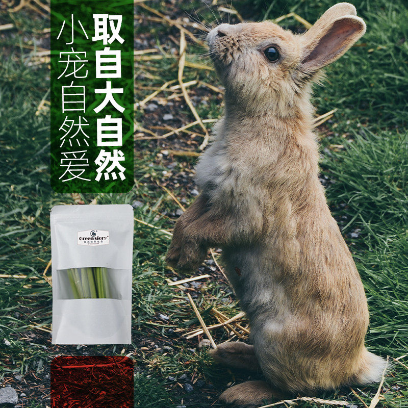 兔子小宠物木瓜茎零食豚鼠荷兰猪专用龙猫仓鼠金丝熊磨牙神器,淘宝优惠券,粉丝福利购,淘宝优惠卷