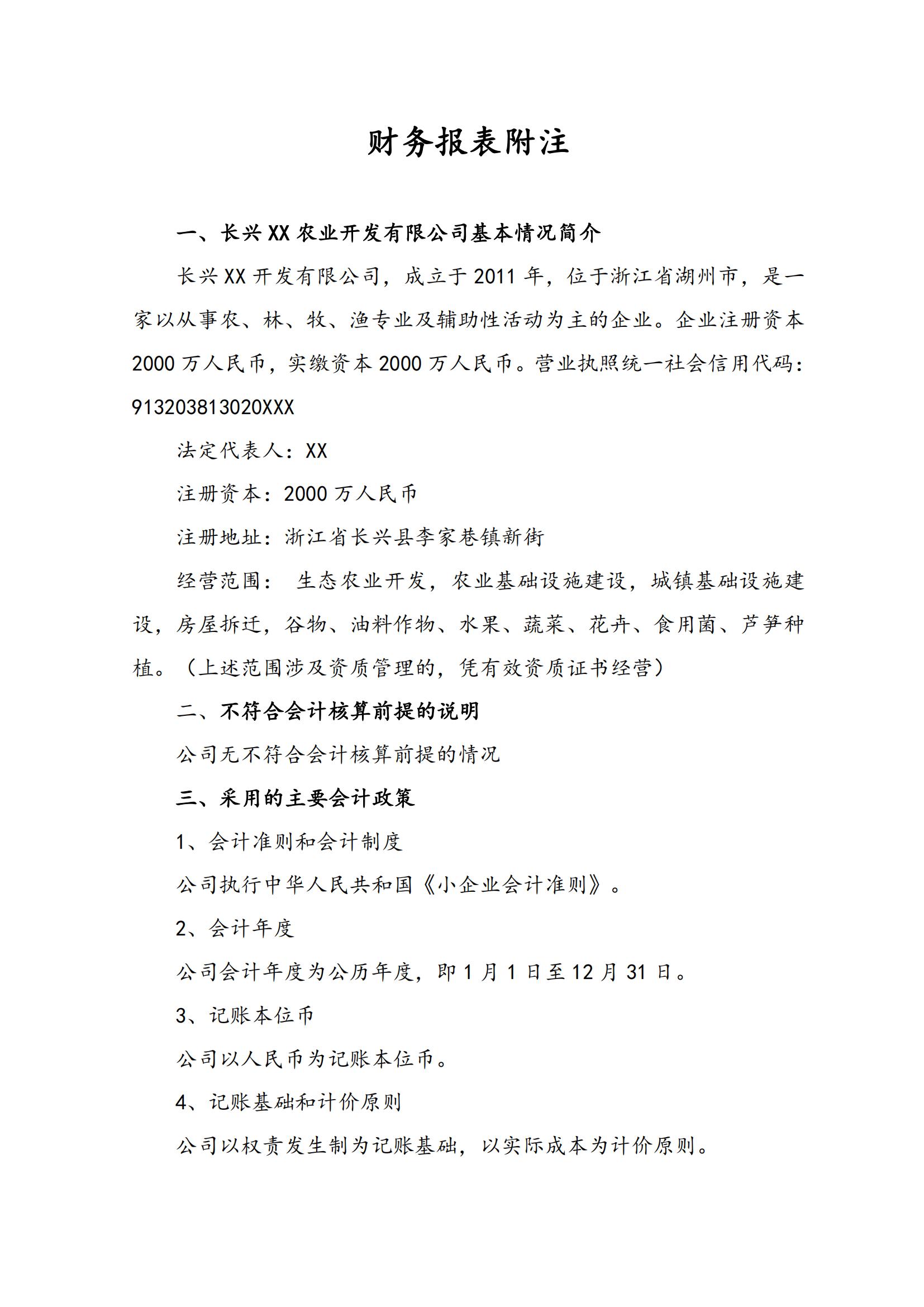 银行贷款财务报表资产负债表利润表现金流量表招标投标审计附注-图2