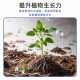 Plant regeneration agent resurrection liquid flower green plant potted plants