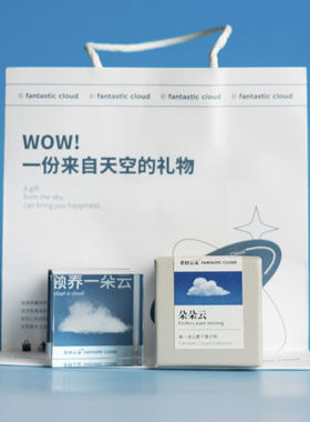 奇妙云朵领养一朵云创意礼物云朵摆件生日送女友闺蜜情侣高级感七