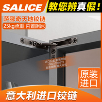 Salice Italian Grand Liza Liz heaven and earth hinge 25kg load-bearing aluminium frame door cushion hide heavy door frame imports