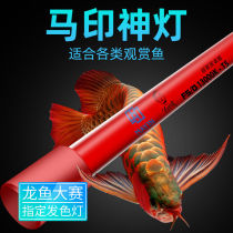 Maprint god lamp tricolour light tube red dragon special light fish tank lamp LED light waterproof floodlight germicidal lamp