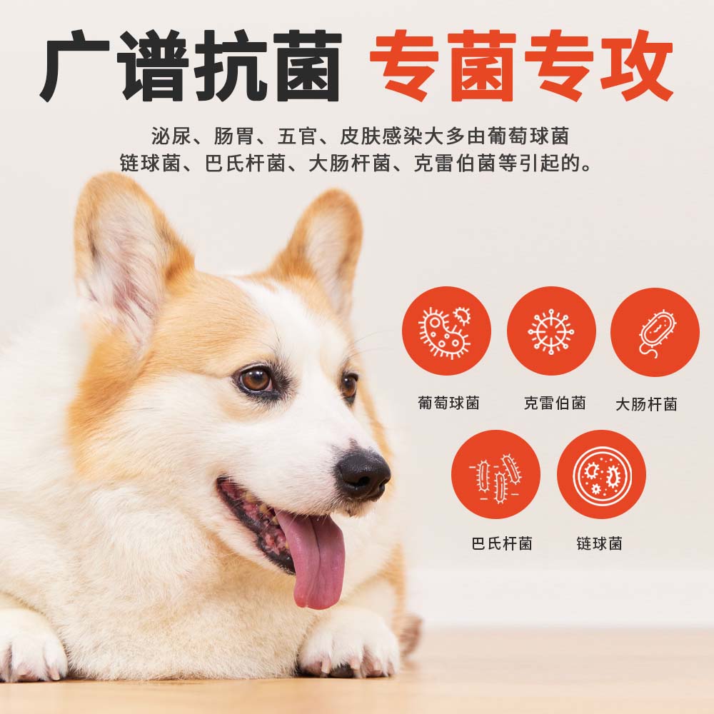 头孢羟氨苄片宠物狗狗猫咪用消炎药咳嗽脓皮症猫癣中耳炎伤口
