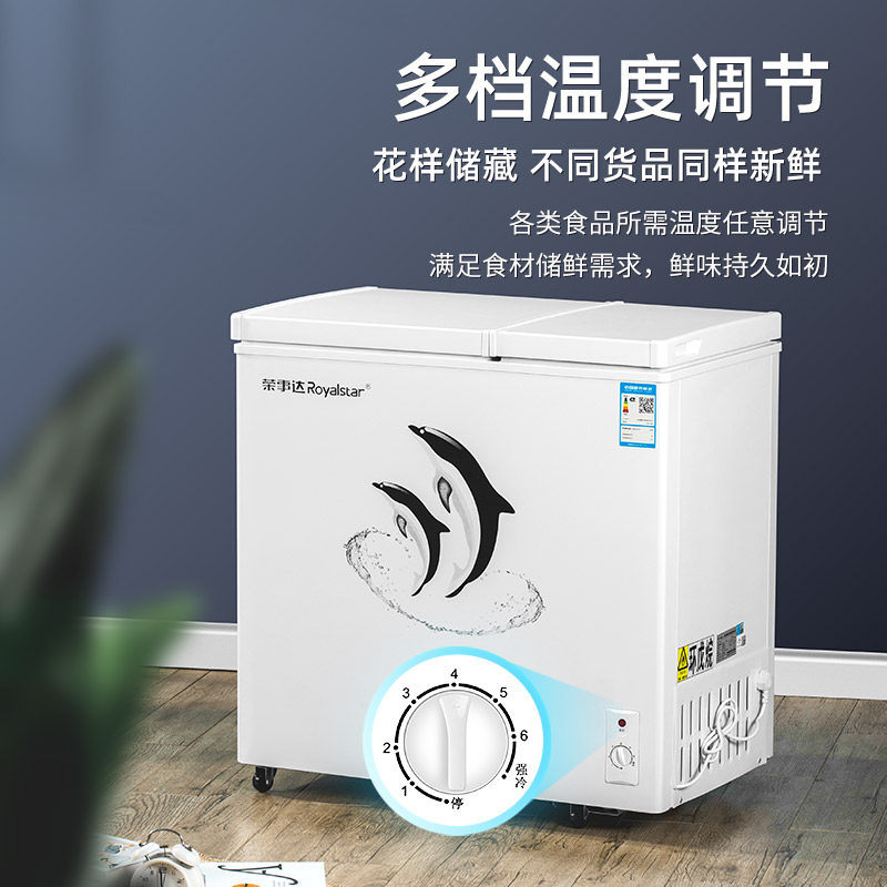 荣事达双温双门家用冷冻保鲜冰柜 荣事达淞淋冷柜