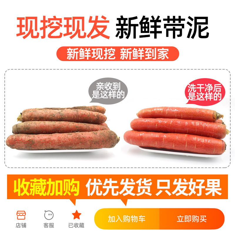 现挖新鲜胡萝卜10斤水果萝卜脆甜生吃红心沙地罗卜即食农家蔬菜5-图0