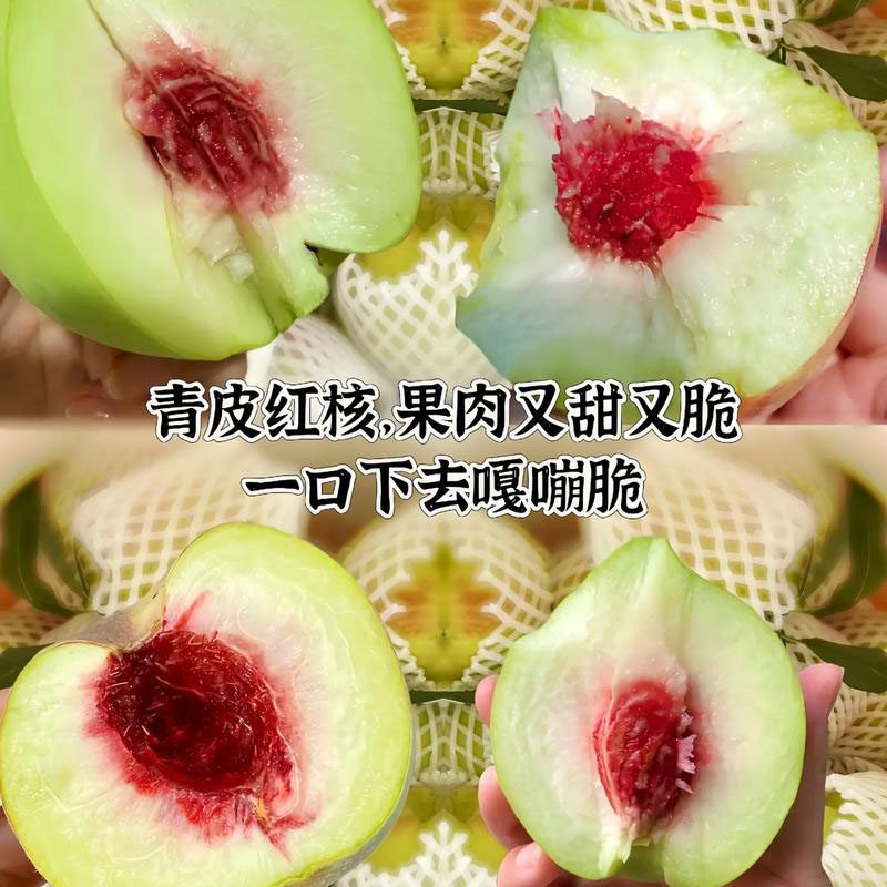 正宗山东现摘青州蜜桃3-5斤脆甜桃子新鲜冬雪水果毛桃水蜜桃冬桃,淘宝优惠券,粉丝福利购,淘宝优惠卷