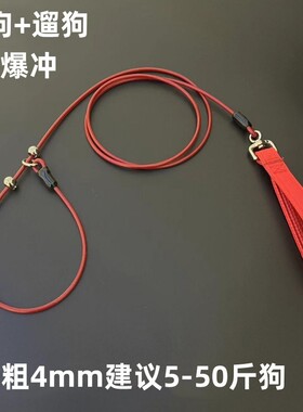 狗狗牵引绳大中小型犬p绳遛狗训狗冲p链防咬加粗加长遛狗链子