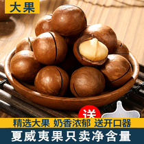 Hawaiian Fruits Nuts Wholesale 500g Cream Taste Dry Fruit Rinn Snacks Summer Fruits Whole Boxes Year Goods Casual Food