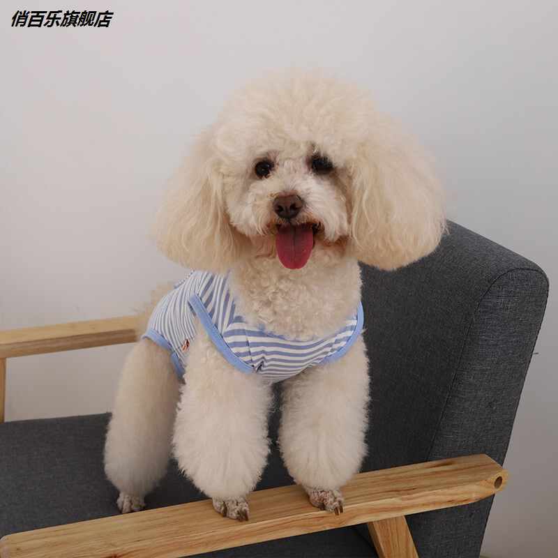 ペット服 制服スカート 犬猫洋服 マリン 犬の服 犬用コスチューム Navy 春夏服 上着 セーター服 可愛い