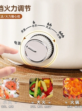 山本电煮锅家用多功能一体煎炒蒸