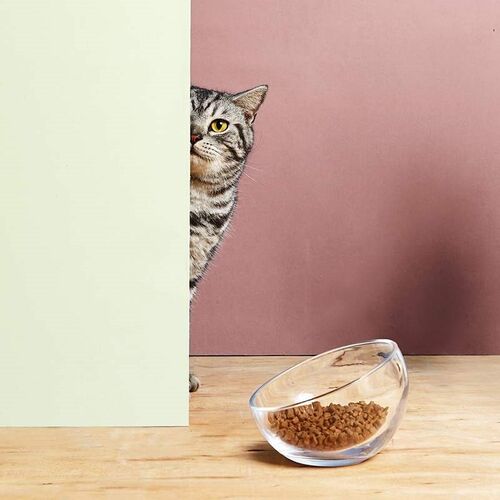 One pet supplies cat bowl glass feeding basin inclined mout - 图0