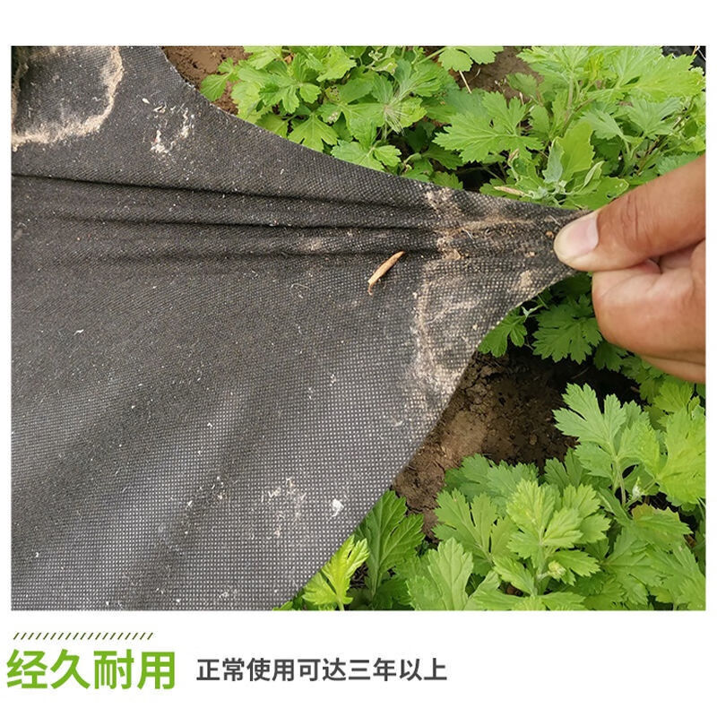 防草布除草布农用保湿果树果园盖草布槟榔除草地布耐用遮草地膜11 - 图1