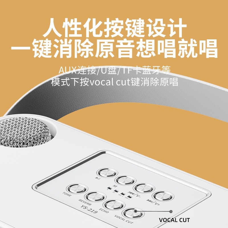 铂典ys219家庭ktv音响套装麦克风卡拉ok音箱话筒一体唱k歌机家用,淘宝优惠券,粉丝福利购,淘宝优惠卷