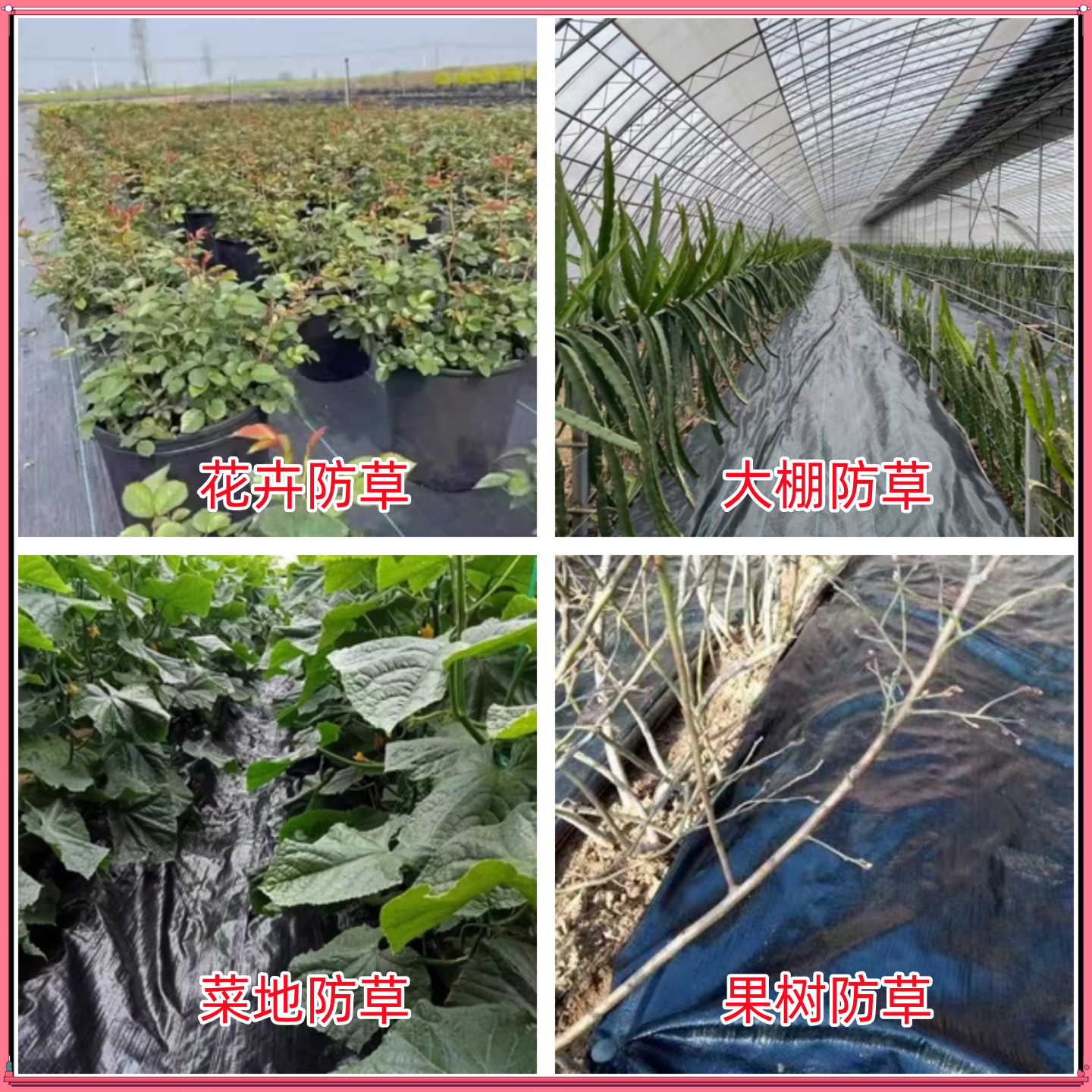 农用防草布除草布优质果园单张切片抗老化透气保湿园艺地布直销,淘宝优惠券,粉丝福利购,淘宝优惠卷