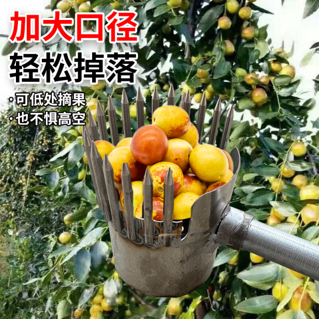 New special artifacts for picking mountain jujubes and picking tools for picking jujubes and stainless steel fruit picking tools for picking jujubes and cypress seeds and picking jujubes