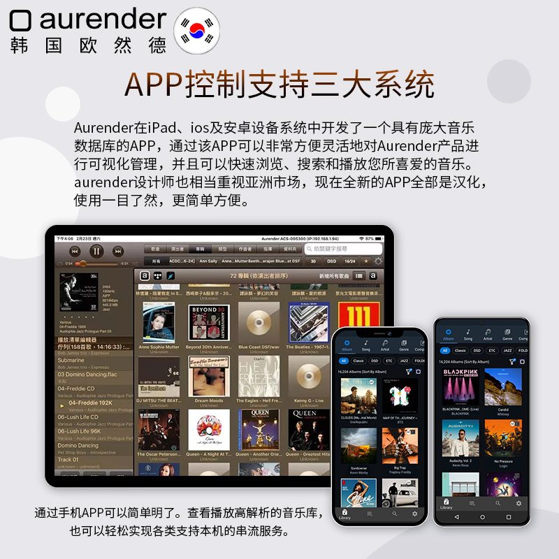 aurender/欧然德 N30 串流纯数播网络硬盘音乐播放器DSD服务器NAS - 图2