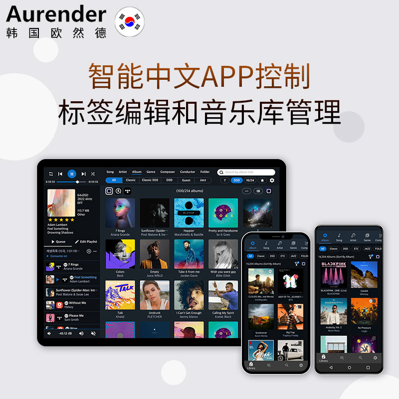 Aurender/欧然德ACS100串流数播CD抓轨硬盘音乐播放器数字转盘NAS - 图2