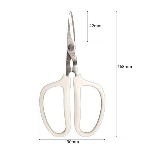 APOLLO厨房剪刀吃蟹工具三件套吃螃蟹剥蟹多功能家用不锈钢 - 图3