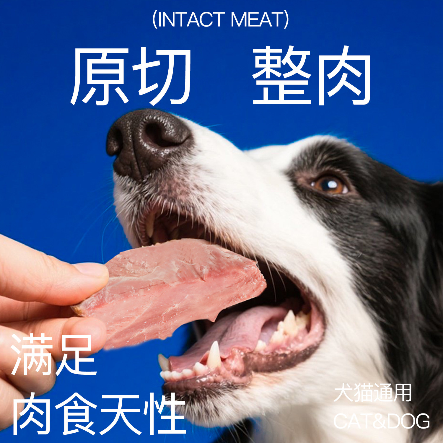 喵派蒸煮鸭肉鱼油鸭胸30g宠物猫咪狗狗营养零食湿粮肉干喂狗喂猫,淘宝优惠券,粉丝福利购,淘宝优惠卷