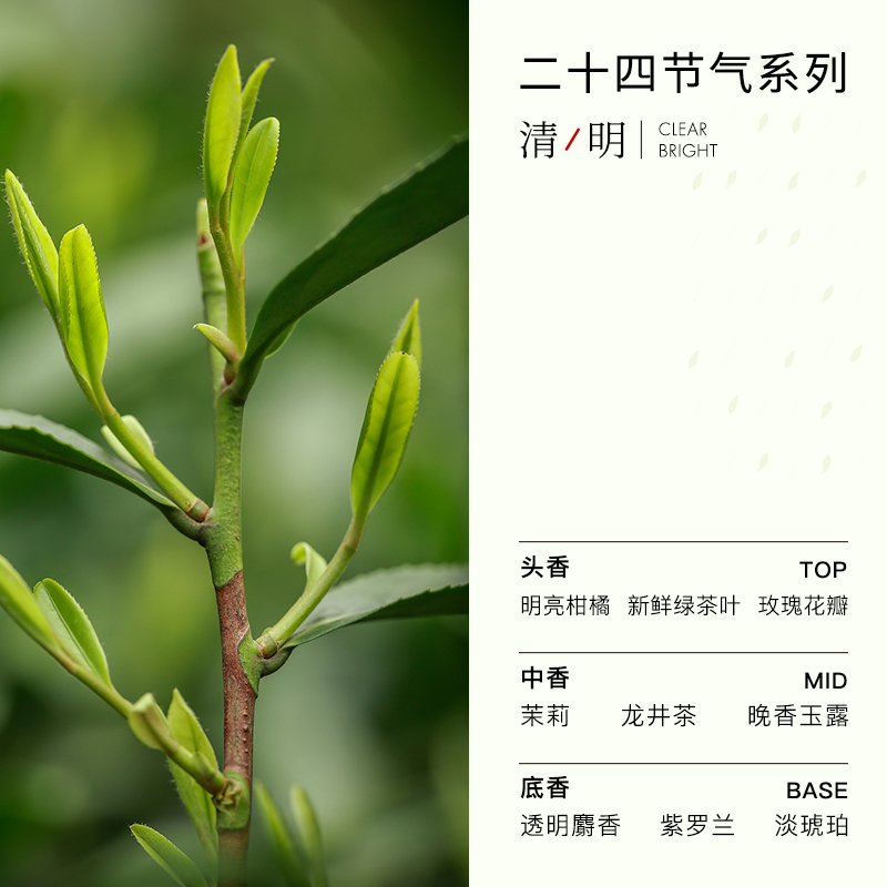 空白24节气「热卖」香水清明龙井绿茶香惊蛰竹香秋分桂花国货中性
