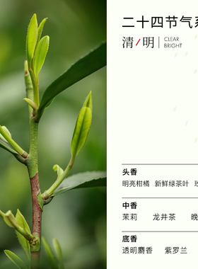 空白24节气香水经典中性龙井茶香