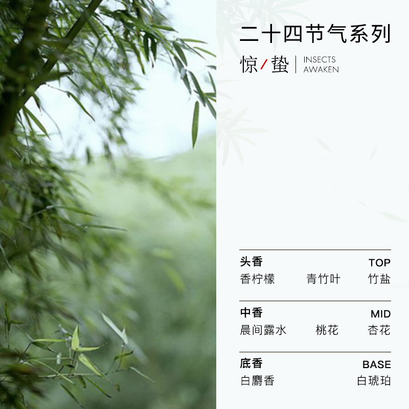 空白24节气「春季」香水惊蛰青竹香竹子国货清新中性淡香