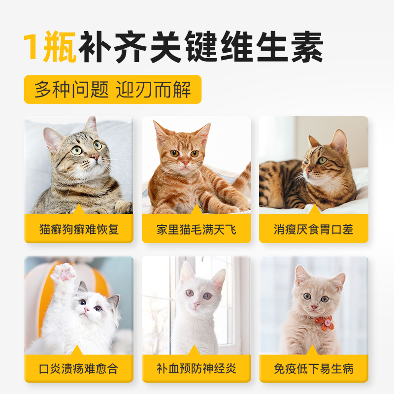 爪爪博士猫咪复合维生素b猫用猫藓狗癣宠物掉毛口炎维生素b族溶液 - 图0