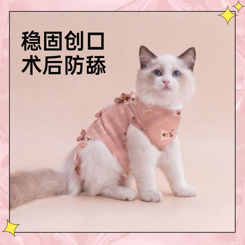 猫咪绝育服母猫手术服衣服透气戒奶服断奶服公猫防舔术后宠物猫猫