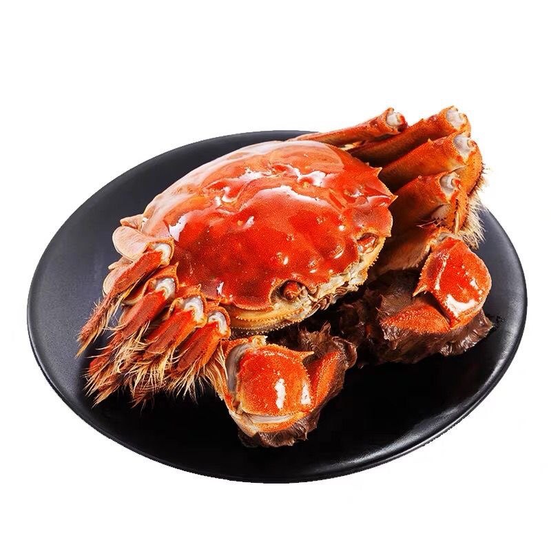 【10只装】鲜活大闸蟹特大活螃蟹公6.0两 母5.0两礼盒装顺丰包邮,淘宝优惠券,粉丝福利购,淘宝优惠卷