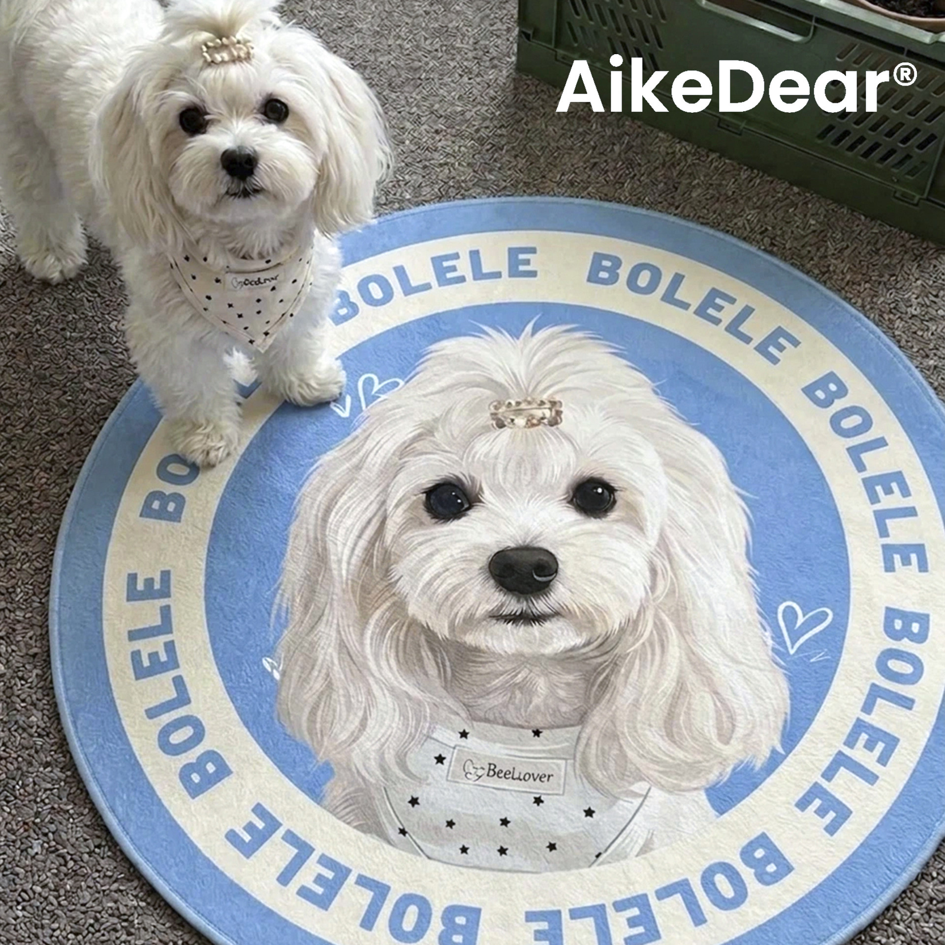 AikeDear pet custom carpet birthday gift