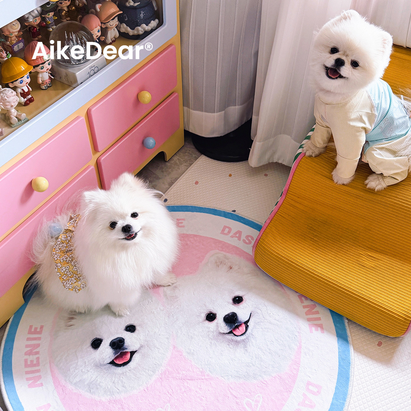AikeDear pet custom carpet birthday gift