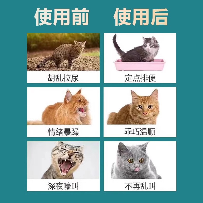 猫咪发情抑制药母猫公猫专用绝育药长效宠物乱尿乱叫避孕禁情粉液 - 图2