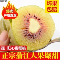 Sichuan Red Heart Exotic Fruits Fresh season Pregnant Women Fruit Pure Sweet Chic Exotic Fruits Zhengzong Pujiang Mikey Peach Gift Box Dress