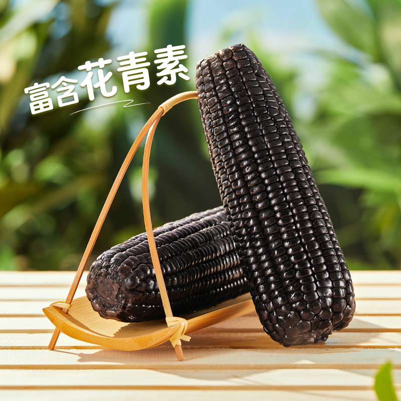 灶小美内蒙古黑糯玉米新鲜非东北即食粘黏苞米黑玉米代餐粗粮早餐