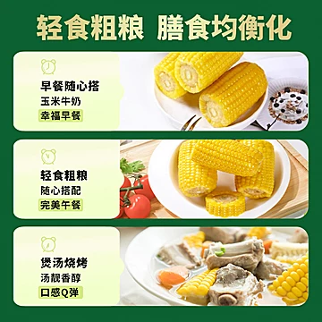 灶小美铝膜包装糯玉米段1200g礼盒[3元优惠券]-寻折猪