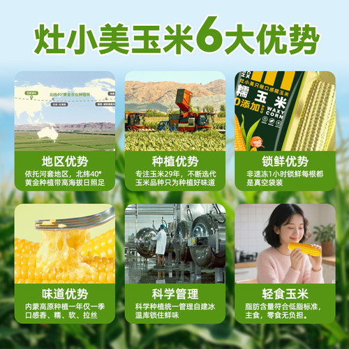 灶小美新玉米新鲜糯玉米棒现摘真空包装袋礼盒装苞米粘糯甜玉米棒 - 图2
