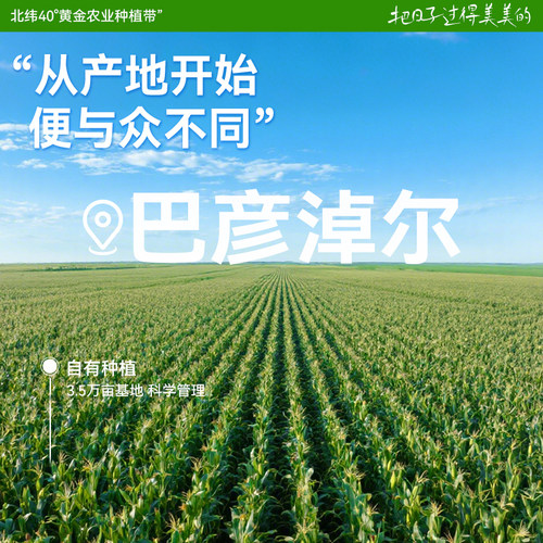 灶小美新玉米新鲜糯玉米棒现摘真空包装袋礼盒装苞米粘糯甜玉米棒 - 图0