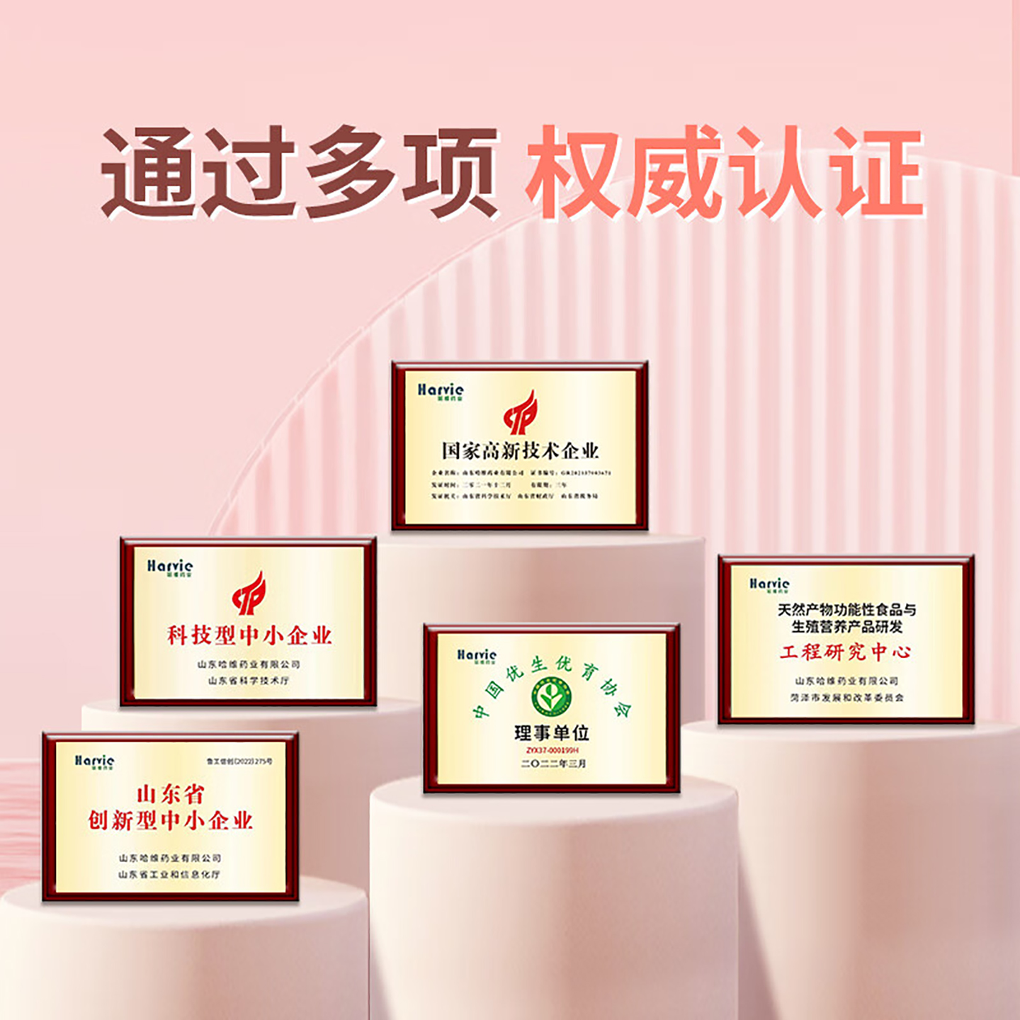 维哈维培卵素肉碱锌硒活性叶酸红参葛根培精素多维维矿复合营养素 - 图2