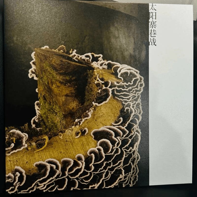 正版 也朋乐队 2022专辑《太阳寨巷战》 摇滚 LP黑胶唱片+歌词本