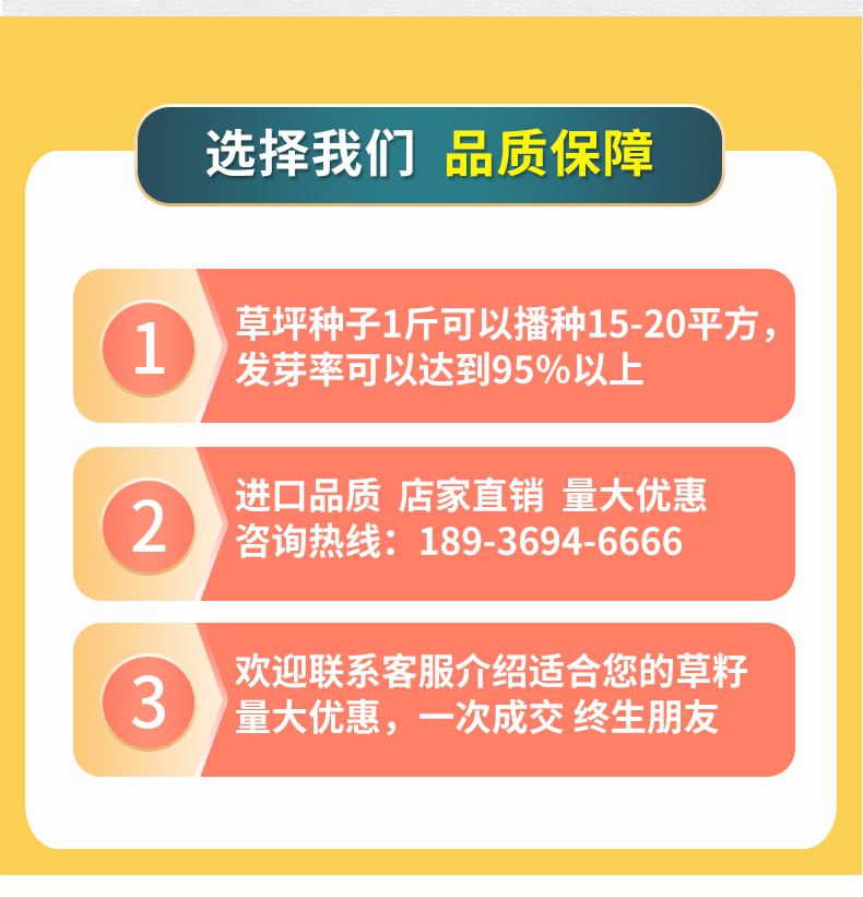 草坪草籽四季常青护坡狗牙根马尼拉地毯草种子百慕大黑麦草种籽孑-图1