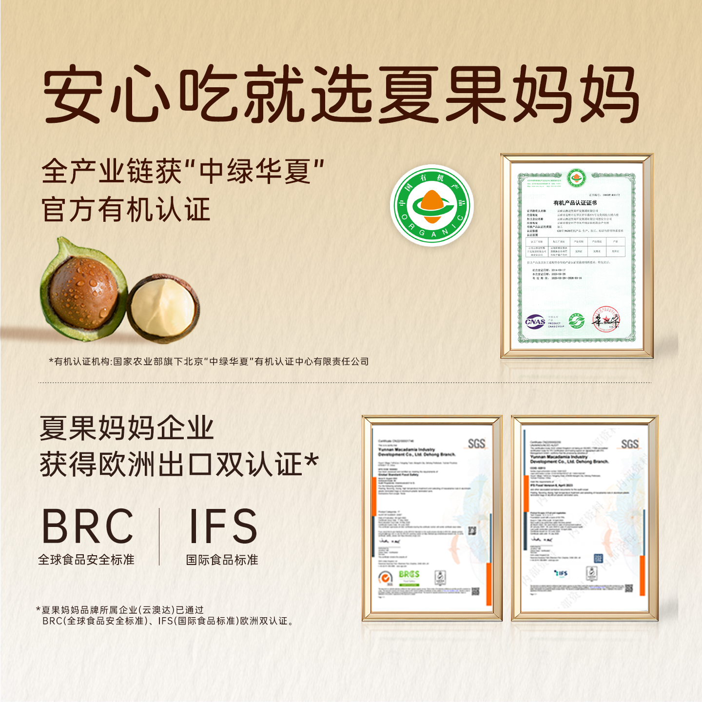 夏果妈妈云南夏威夷果大颗粒有机坚果原味无添加孕妇健康年货500g,淘宝优惠券,粉丝福利购,淘宝优惠卷