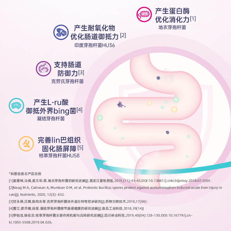 【自营】肠道MBL孢子益生菌1200亿肠胃便M消化肠敏肠痛桥本 微瑕