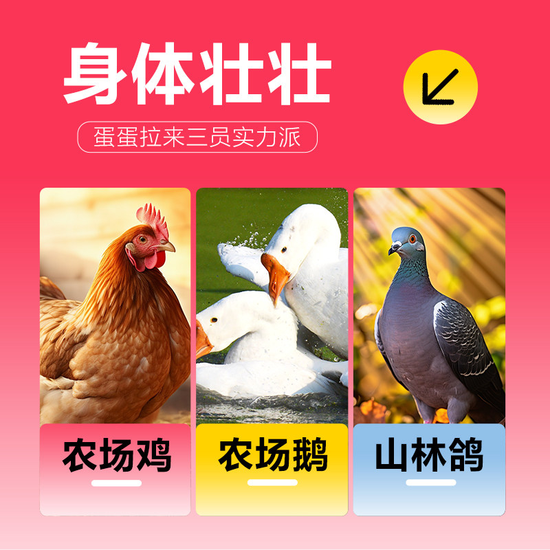 单袋尝鲜 一只喜欢哇噻全价主食夹心冻干鸡肉蛋黄三文鱼油猫粮,淘宝优惠券,粉丝福利购,淘宝优惠卷