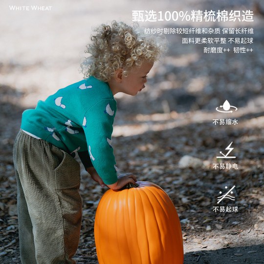 whitewheat Children's 2025 Spring and Autumn New Cartoon Sweater Girls Top Baby Boys Pure Cotton Knitted Sweater