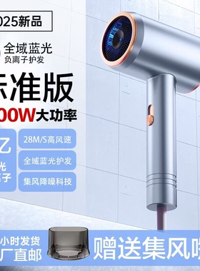 Leiman雷曼大功率家用发廊速干吹