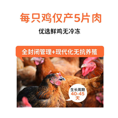 大P便当烘干鸡胸肉猫咪狗狗零食磨牙棒猫狗通用冻干肉干肉片训练 - 图2