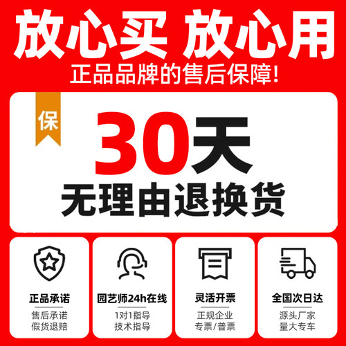 矮麦冬草庭院别墅沿阶草苗四季常青园林工程绿化植物细叶麦冬草苗 - 图3
