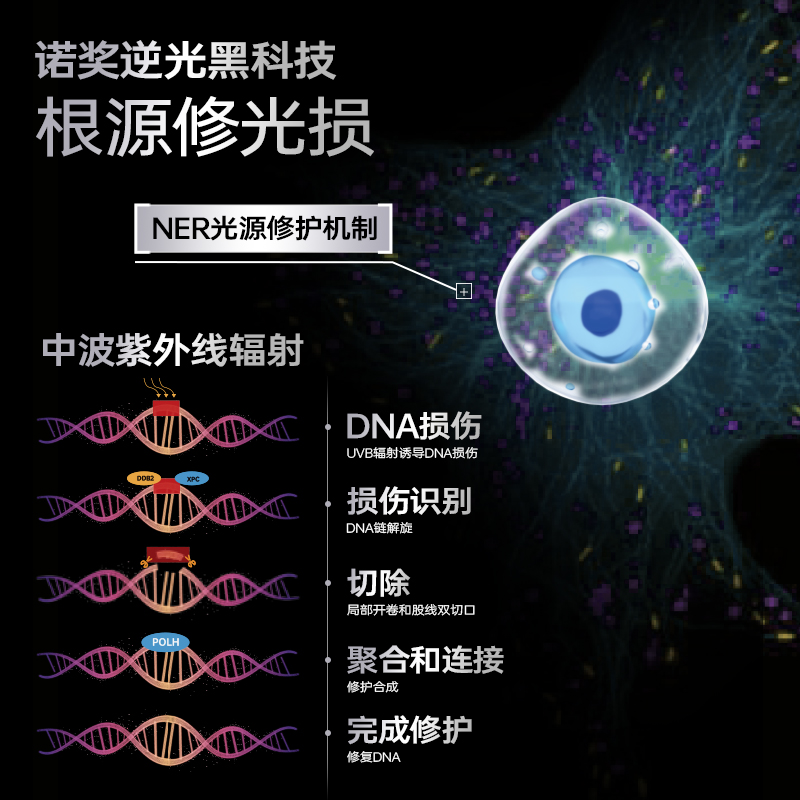 境生之源紧致抗皱水乳套装保湿修护舒缓淡纹敏肌适用