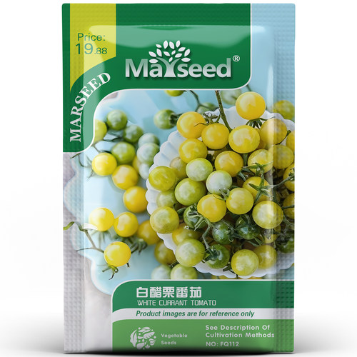 【掌柜推荐】稀有品种红醋栗甜豌豆马特野樱桃迷你小番茄种子籽孑 - 图2